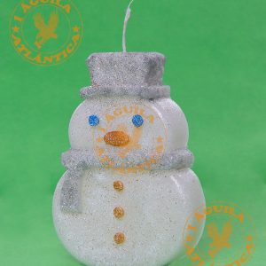 1AGUILA-ATLANTICA-muneco-de-nieve-