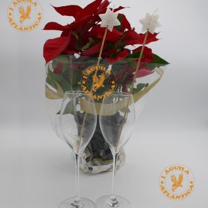 1AGUILA-ATLANTICA-VELA-ESTRELLITA-FIESTA-COPA
